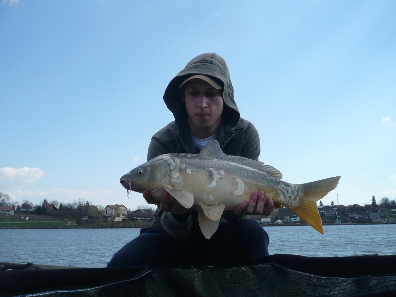 MV2 - 20.MAR.2014 - p1020235.JPG